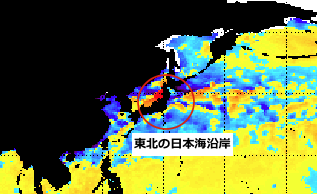 japan-sea-temperature-267d2.gif
