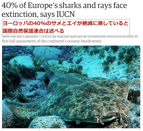 sharks-extinction.gif