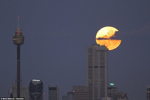 sydney-moon.jpg