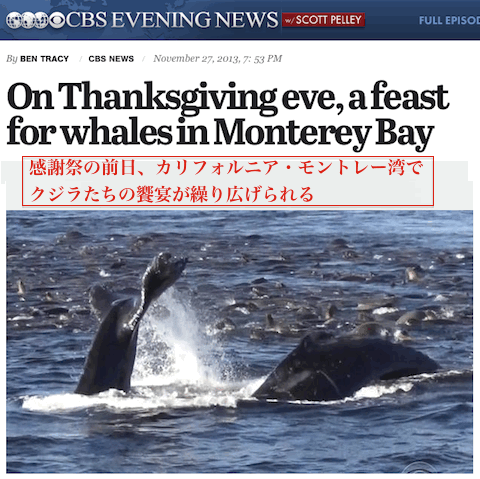 whales.gif